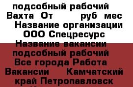 подсобный рабочий . Вахта. От 30 000 руб./мес. › Название организации ­ ООО Спецресурс › Название вакансии ­ подсобный рабочий - Все города Работа » Вакансии   . Камчатский край,Петропавловск-Камчатский г.